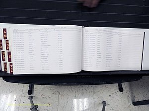 Surry Co, NC, Marriages, Female Index, A-Z, Beginning-1899 (447).JPG
