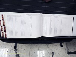 Surry Co, NC, Marriages, Female Index, A-Z, Beginning-1899 (452).JPG