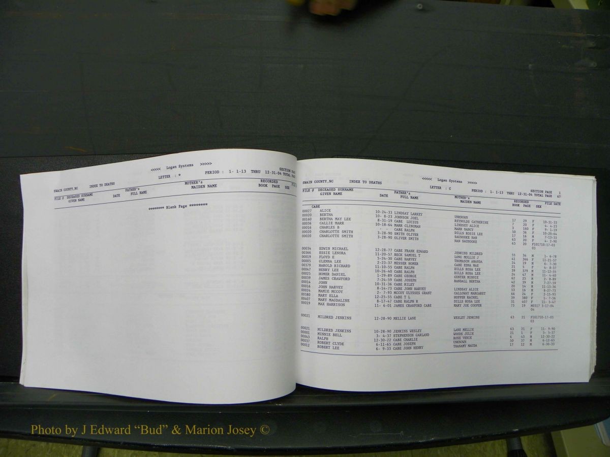 Swain Births & Deaths, 1913-up 493.JPG