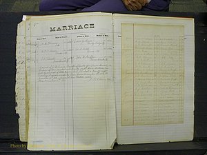 Union Co, NC Marriage Book 4, A-Z, 1870-1894 (117).JPG