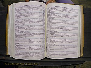 Union Co, NC Marriages Female Index, A-Z, 1966-1979 (225).JPG