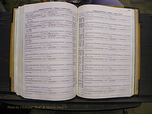 Union Co, NC Marriages Female Index, A-Z, 1966-1979 (231).JPG