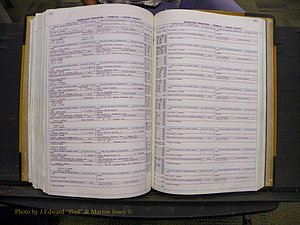 Union Co, NC Marriages Female Index, A-Z, 1966-1979 (242).JPG