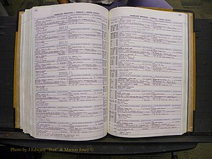 Union Co, NC Marriages Female Index, A-Z, 1966-1979 (245).JPG