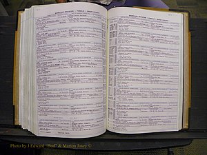 Union Co, NC Marriages Female Index, A-Z, 1966-1979 (275).JPG