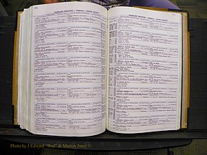 Union Co, NC Marriages Female Index, A-Z, 1966-1979 (290).JPG