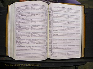 Union Co, NC Marriages Female Index, A-Z, 1966-1979 (291).JPG
