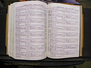 Union Co, NC Marriages Female Index, A-Z, 1966-1979 (292).JPG
