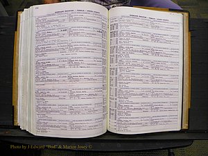 Union Co, NC Marriages Female Index, A-Z, 1966-1979 (294).JPG