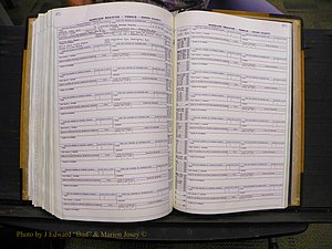 Union Co, NC Marriages Female Index, A-Z, 1966-1979 (307).JPG