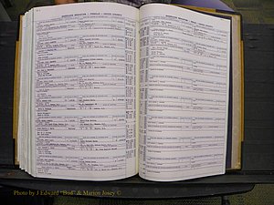 Union Co, NC Marriages Female Index, A-Z, 1966-1979 (324).JPG