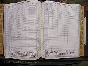 Union Co, NC Marriages Female Index, A-Z, 1980-1993 (113).JPG