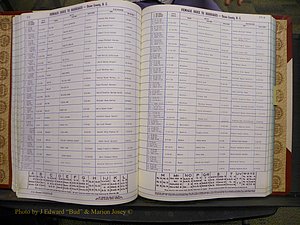 Union Co, NC Marriages Female Index, A-Z, 1980-1993 (119).JPG