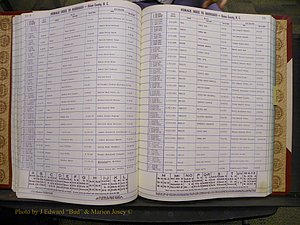 Union Co, NC Marriages Female Index, A-Z, 1980-1993 (120).JPG