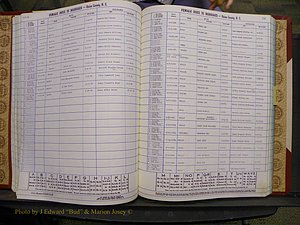 Union Co, NC Marriages Female Index, A-Z, 1980-1993 (121).JPG