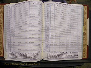 Union Co, NC Marriages Female Index, A-Z, 1980-1993 (122).JPG