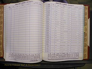Union Co, NC Marriages Female Index, A-Z, 1980-1993 (126).JPG