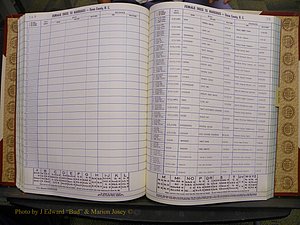Union Co, NC Marriages Female Index, A-Z, 1980-1993 (155).JPG