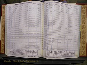 Union Co, NC Marriages Female Index, A-Z, 1980-1993 (157).JPG