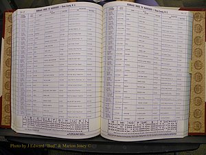 Union Co, NC Marriages Female Index, A-Z, 1980-1993 (159).JPG