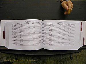 Union Co, NC Marriages Male & Female Index, 1993-2005 (244).JPG