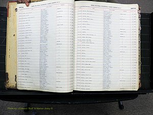 Vance Co, NC, Births & Deaths, A-Z, 1913-1925 (103).JPG