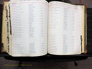 Vance Co, NC, Births & Deaths, A-Z, 1913-1925 (368).JPG