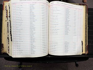 Vance Co, NC, Births & Deaths, A-Z, 1913-1925 (378).JPG