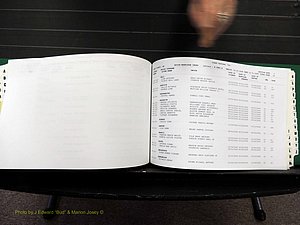 Vance Co, NC, Marriages, A-Z, 2005-2010 (293).JPG