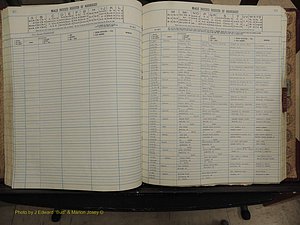 Warren Co, NC, Marriages, A-Z, 1979-1995 (203).JPG