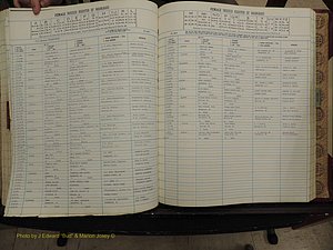 Warren Co, NC, Marriages, A-Z, 1979-1995 (222).JPG