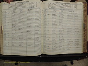 Warren Co, NC, Marriages, A-Z, 1979-1995 (226).JPG