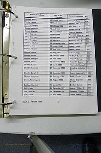 Was GA, Marr Index Books A - F, 1828 - 1890, Female, (071).JPG