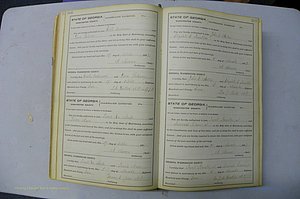 Was GA, Marriages Book H, 1895 - 1899, P 366-367.JPG