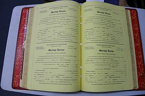 Washington Co, GA, Mar. Book U, Col, P 252-253.JPG