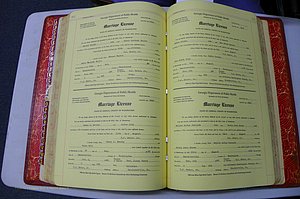 Washington Co, GA, Mar. Book U, Col, P 262-263.JPG
