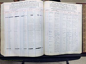 Yadkin Co, NC, Births, A-Z, 1947-1991 (312).JPG