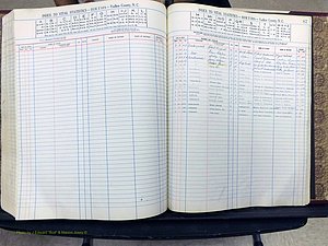 Yadkin Co, NC, Births, A-Z, 1947-1991 (333).JPG