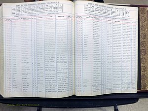 Yadkin Co, NC, Births, A-Z, 1947-1991 (350).JPG