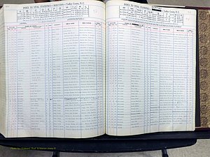 Yadkin Co, NC, Births, A-Z, 1947-1991 (351).JPG