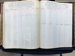 Yadkin Co, NC, Births, A-Z, 1947-1991 (359).JPG