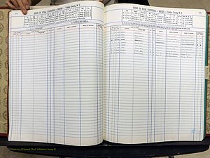 Yadkin Co, NC, Births, A-Z, 1991-2012 (130).JPG