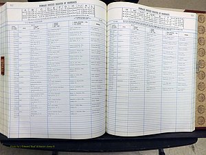 Yadkin Co, NC, Marriage Book 7, 1979-1991 (320).JPG