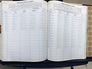 Yadkin Co, NC, Marriage Book 7, 1979-1991 (329).JPG