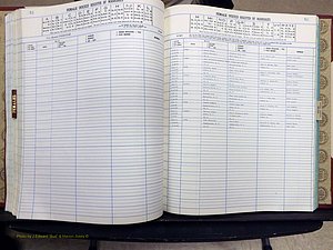 Yadkin Co, NC, Marriage Book 8, 1991-1995 (251).JPG