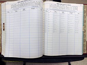 Yadkin Co, NC, Marriage Book 8, 1991-1995 (259).JPG