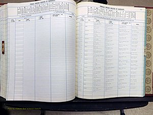 Yadkin Co, NC, Marriage Book 8, 1991-1995 (293).JPG