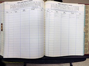 Yadkin Co, NC, Marriage Book 8, 1991-1995 (294).JPG