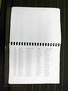 Yadkin Co, NC, Marriage Index, Male & Female 1867-1901 (113).JPG