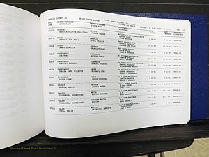 Yadkin Co, NC, Marriages, Male & Female, 1996-2012 (704) .JPG